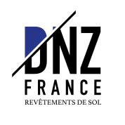 logo Dnz France