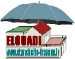 logo Entreprise Elouadi