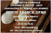 logo Dupuy Franck - Dfms