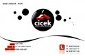 logo Cicek
