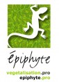 logo Epiphyte