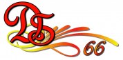 logo Depannage Service 66