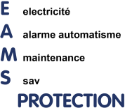 logo Eams