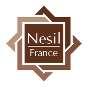 LOGO NESIL FRANCE