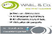 logo Wael & Co Unlimited Colours