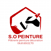 LOGO S.O peinture